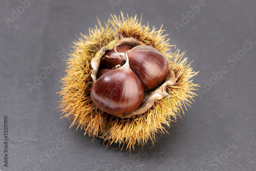 Open husk and sweet chestnuts inside isolated on gray slate background. Castanea sativa photo