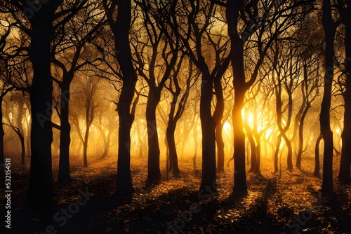 Sunlight in an autumn forest. 