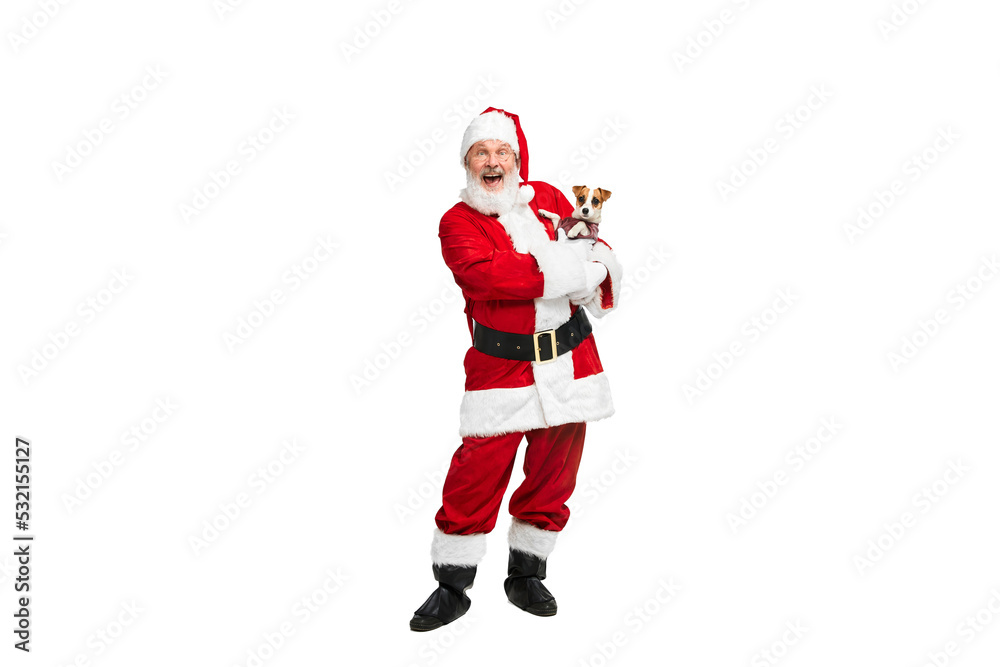 Portrait of senior man in image of Santa Clausposing with dog isolated over white background Portrait of senior man in image of Santa Clausposing with dog isolated over white background