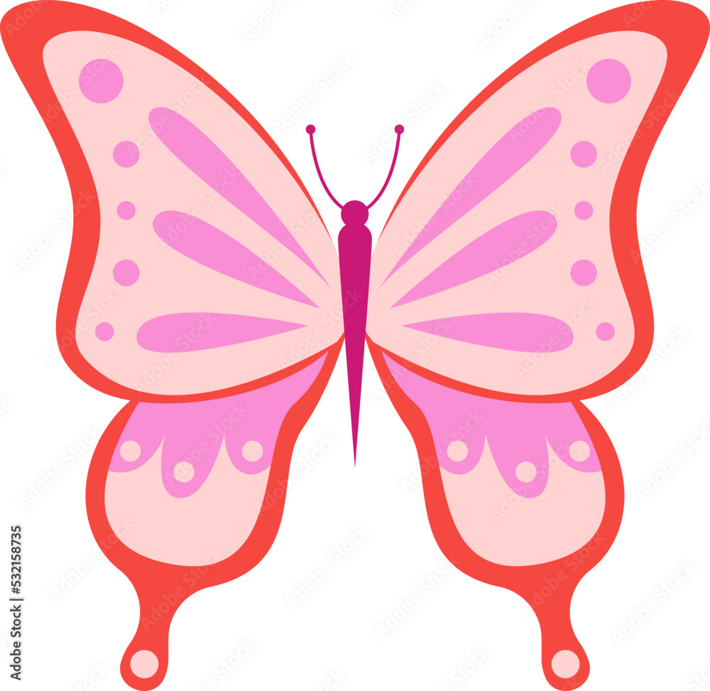 Colorful butterfly insect. Vector illustration