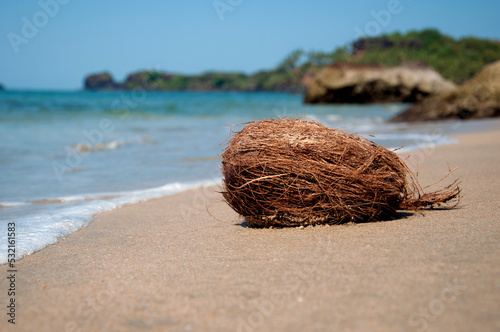 Fresh coconut on a sandy beach against the background of the sea. Sea Wave Beach Resort, Travel Vacation Luxury Freshness Maldives Thailand Indonesia