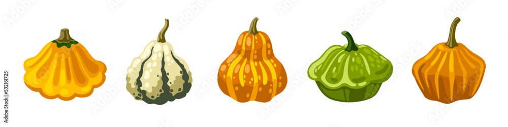 Cute hand drawn decorative gourd, patty pan, pumpkin and squash. Cartoon vector illustration. Cute hand drawn decorative gourd, patty pan, pumpkin and squash. Cartoon vector illustration.