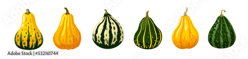 Striped spotted textured squash and gourd collection. Set of hand drawn decorative autumn vegetable. Vector cartoon illustration.
