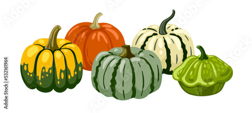 Gourds of different types, shapes and colors. Textured, spotted and striped pumpkins. Still life horizontal composition. Hand drawn vector illustration.