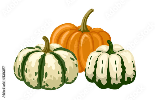 Textured, spotted and striped pumpkins and gourds of different shape and colors. Hand drawn vector illustration for postcard, invitation, banner.