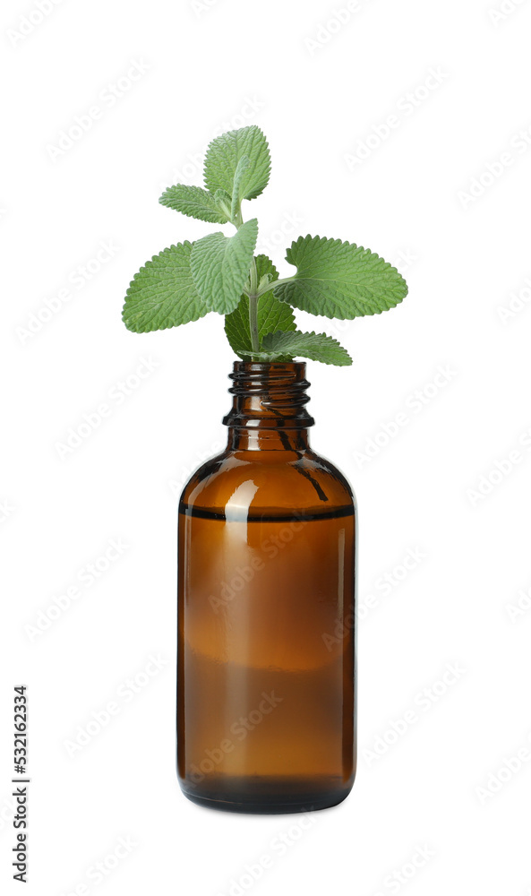 Bottle of essential oil and mint isolated on white Bottle of essential oil and mint isolated on white