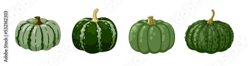 Green pimpled striped and spotted pumpkins and gourds. Decorative vegetables collection. Set of vector hand drawn illustrations.
