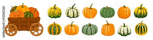 Hand drawn colorful striped spotted decorative gourds. Wooden pumpkin cart with cute cartoon character. Farmers market, halloween and thanksgiving decoration. Vector illustration.