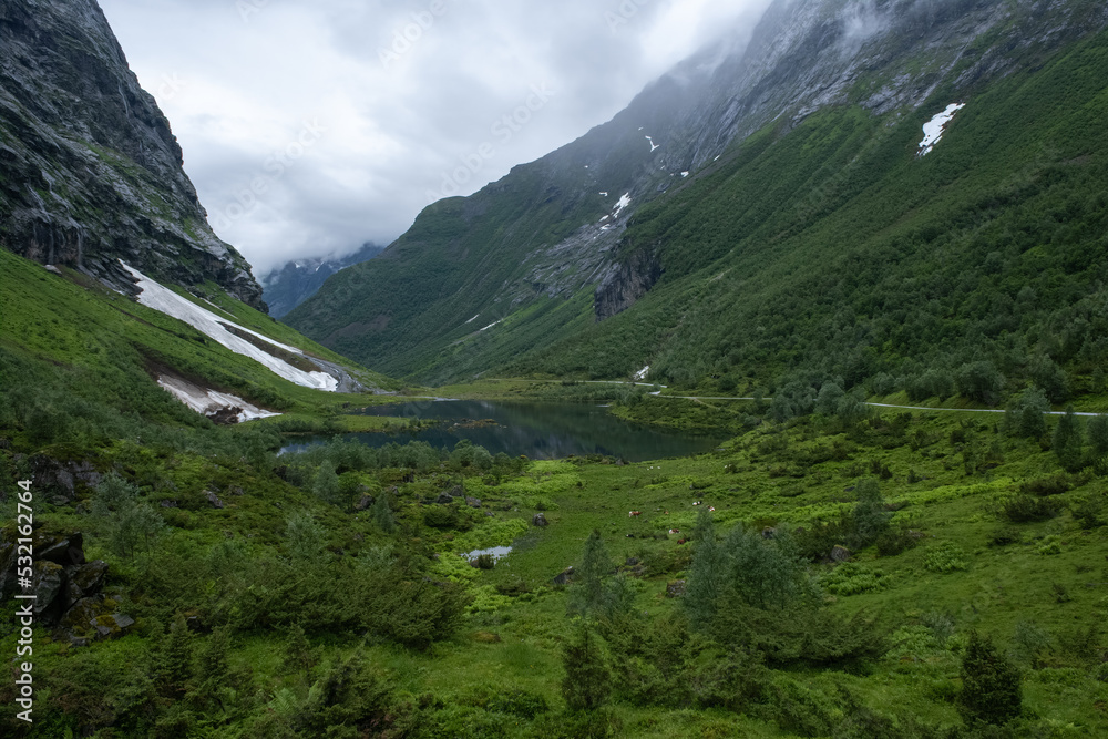 Wonderful landscapes in Norway. Vestland. Beautiful scenery of Urasetra and surroundings. Cows, lake, road and snowed mountain. Paradise and heaven. Cloudy day. Selective focus