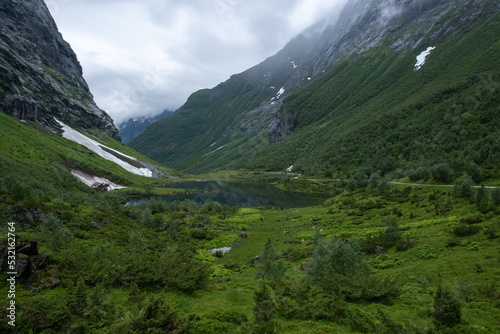 Wonderful landscapes in Norway. Vestland. Beautiful scenery of Urasetra and surroundings. Cows, lake, road and snowed mountain. Paradise and heaven. Cloudy day. Selective focus