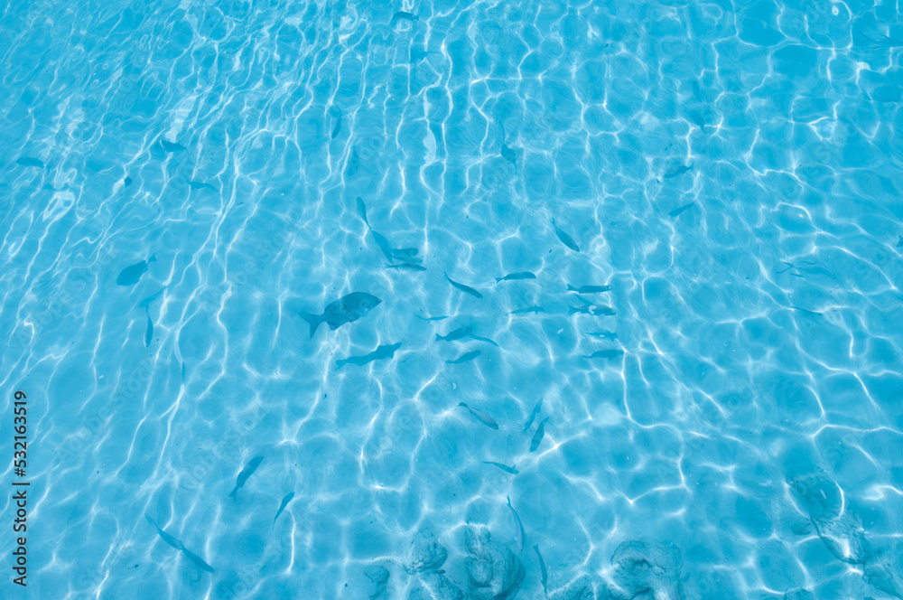 Water background, turquoise shallow sea water. Beautiful texture of sun glare on the water.