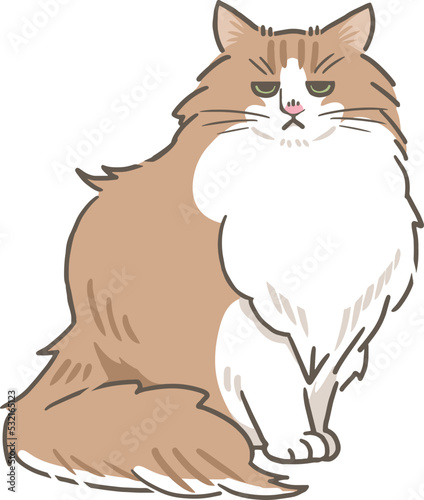 ちょっと不機嫌なメインクーン