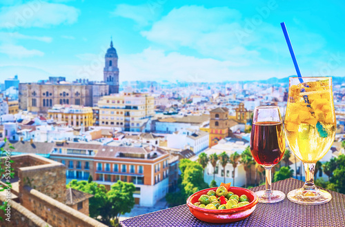 Enjoy the vine and Malaga cityscape, Spain