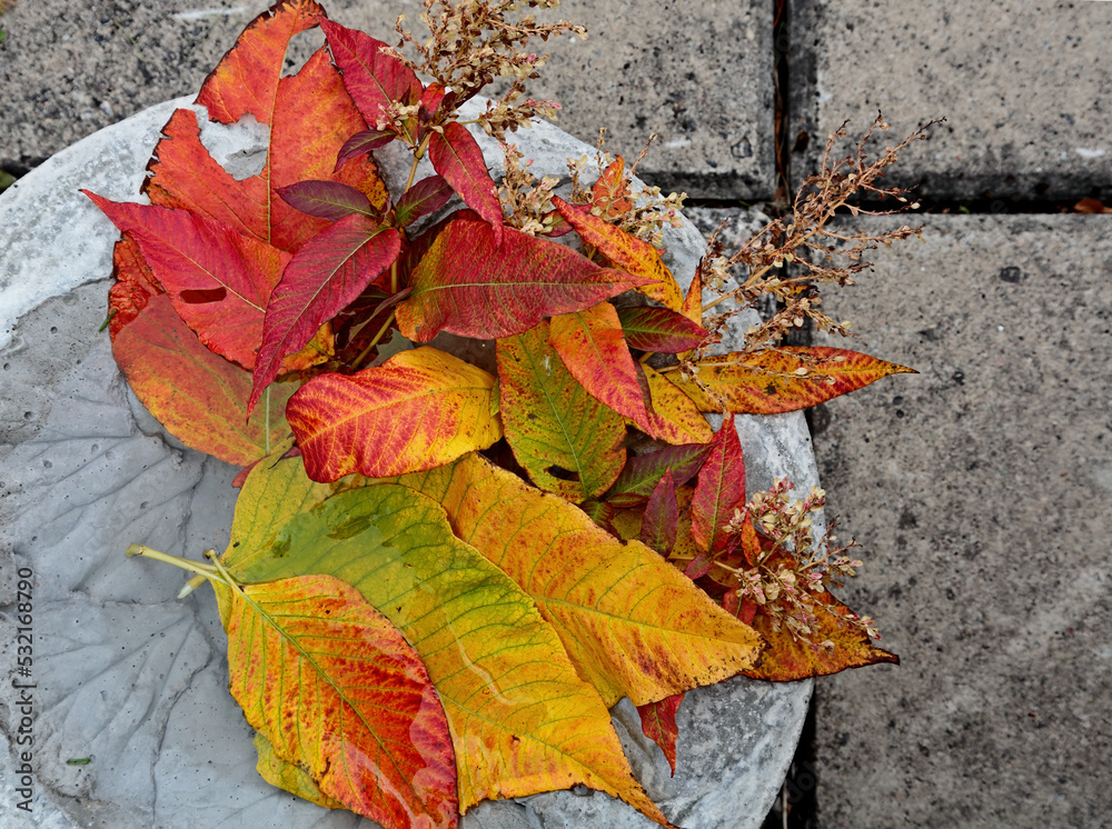 Obraz premium Red and yellow autumn leaves on the ground