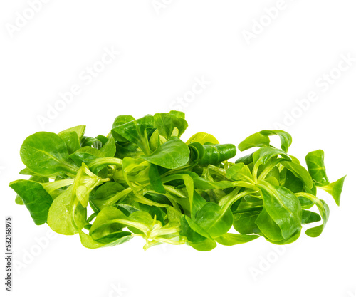Schilderij op canvas Isolated fres green field salad leaves