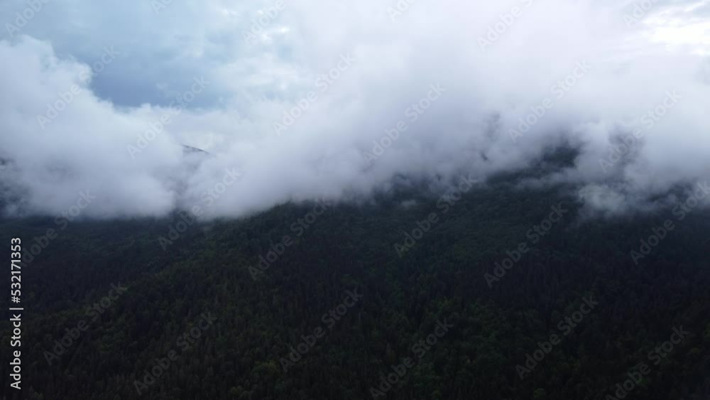 A flight from mountain meadows over green forests, under a misty mountain after rain. A flight from mountain meadows over green forests, under a misty mountain after rain.