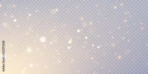 Light effect with many shimmering highlights on a transparent background. Abstract bokeh lights.