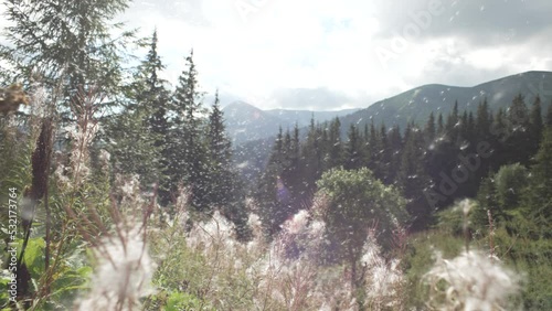 Beautiful mountain landscape on a sunny day. Summer nature with mountain slopes and flowers. Full video of how a dandelion flies. High quality 4k footage