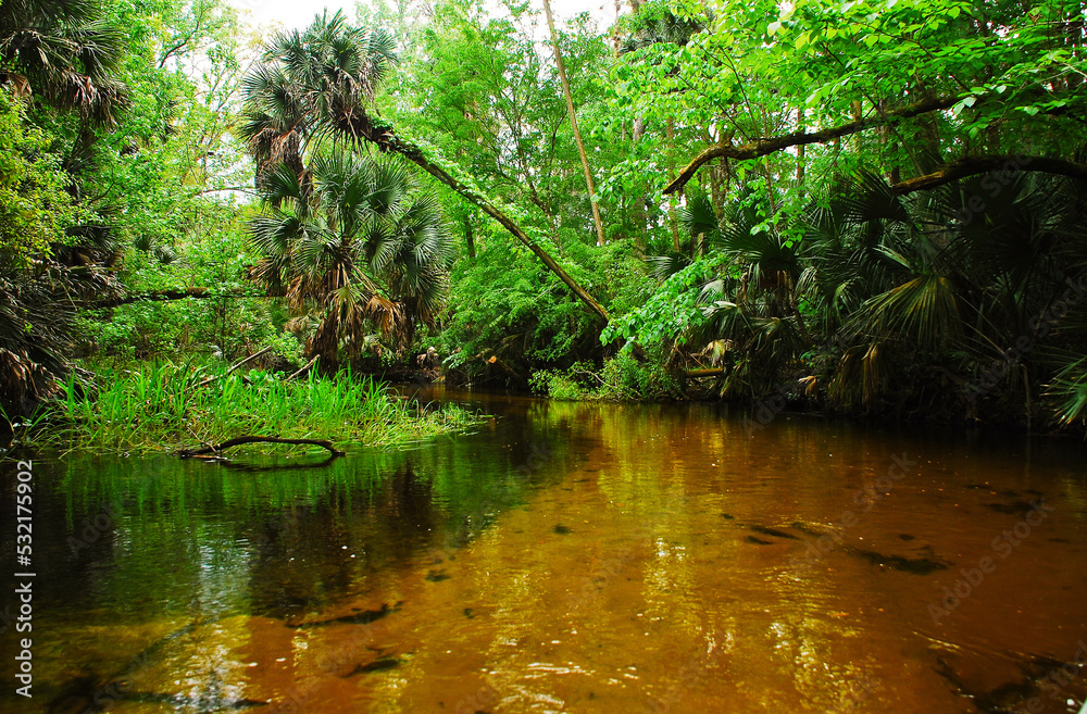 Canoe adventure in the Wekiwa river in Kelly Park Florida Canoe adventure in the Wekiwa river in Kelly Park Florida