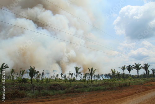 Fumaca de queimada nas margens da BR-230, Rodovia Transamazônica, em Lábrea, Amazonas  photo