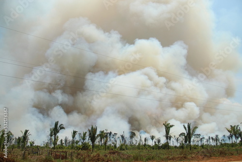 Fumaca de queimada nas margens da BR-230, Rodovia Transamazônica, em Lábrea, Amazonas  photo