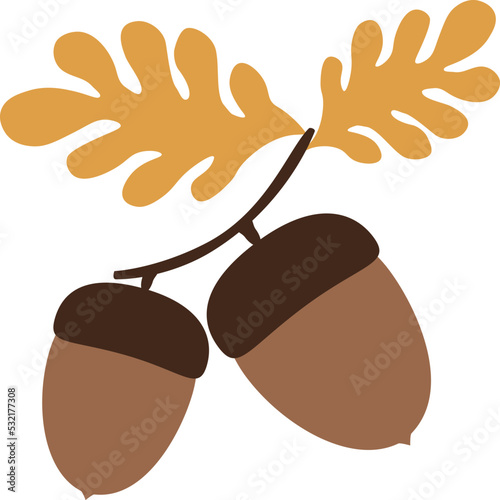 Vector illustration of two acorns, oak branch and orange leaves