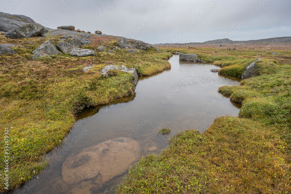 Obraz premium Foggy day at a tundra pond in the permafrost of Sylvia Grinnell Territorial Park on Baffin Island