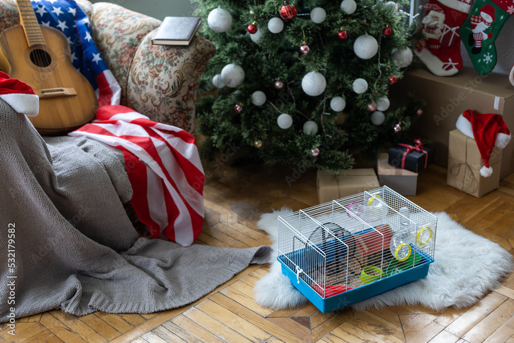 Hamster cage near the Christmas tree, USA