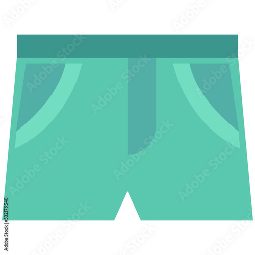 Shorts Vector Icon 