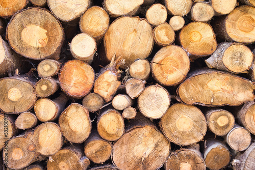 background and texture of wooden logs.