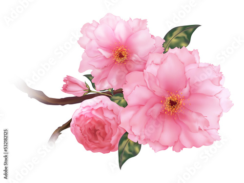 Wallpaper Mural 3D realistic pink cherry sakura flower branch digital art isolated Torontodigital.ca