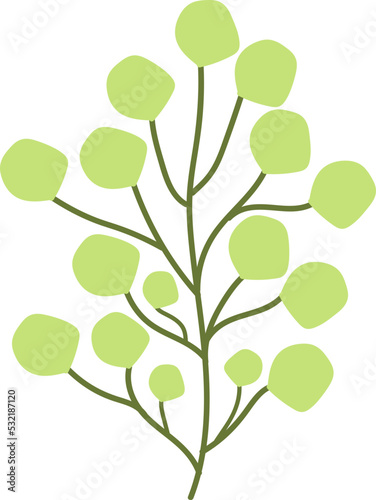 leaf flat illustration © Maulaga
