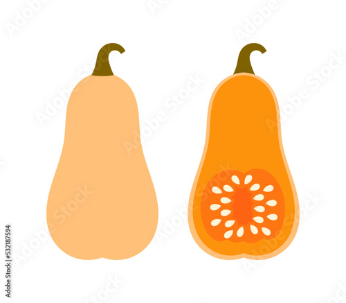 Butternut squash with seeds.