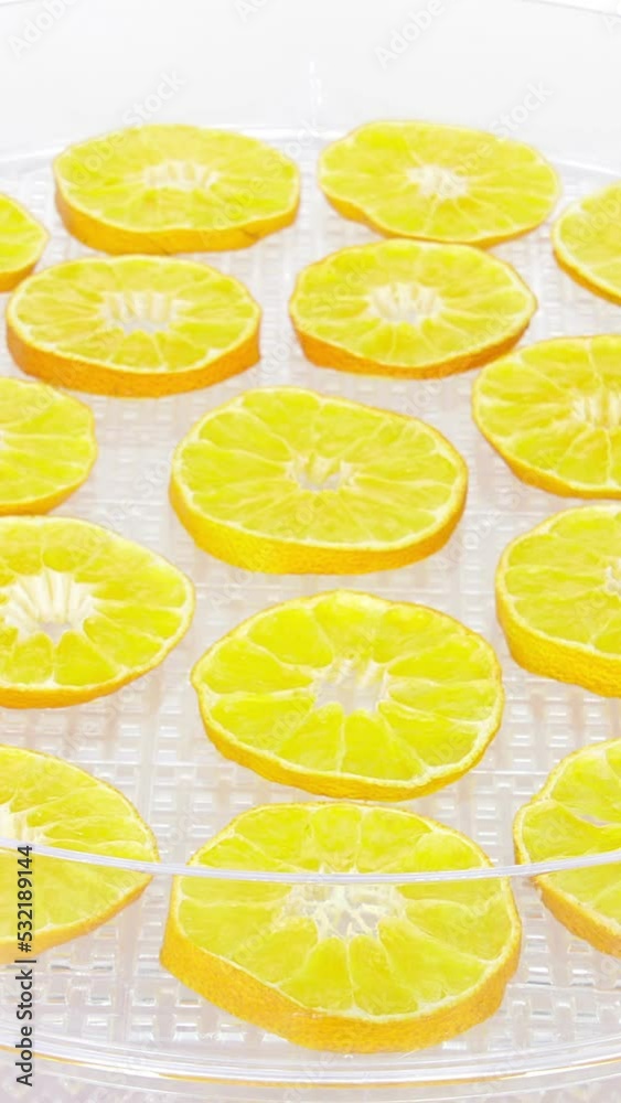 Time lapse of drying (dehydrating) mandarin orange fruit slices in dehydrating machine isolated on white background, vertical orientation Time lapse of drying (dehydrating) mandarin orange fruit slices in dehydrating machine isolated on white background, vertical orientation