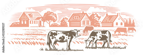 Cows on farm. Hand drawn sketch livestock