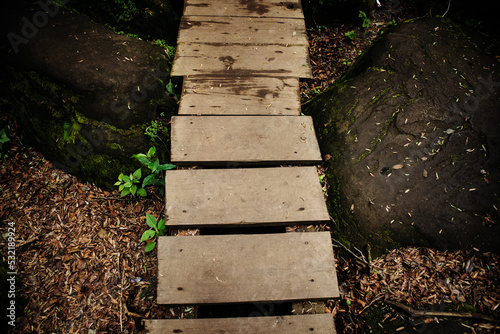 Walk Bridge