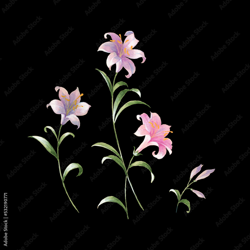 Greeting card with lily flowers, can be used as invitation card for wedding, birthday and other holiday and summer background Greeting card with lily flowers, can be used as invitation card for wedding, birthday and other holiday and summer background