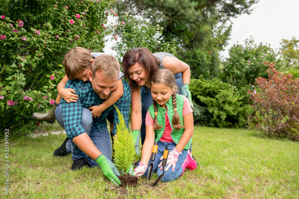 Fototapeta premium Cheerful family planting tree together in their backyard garden