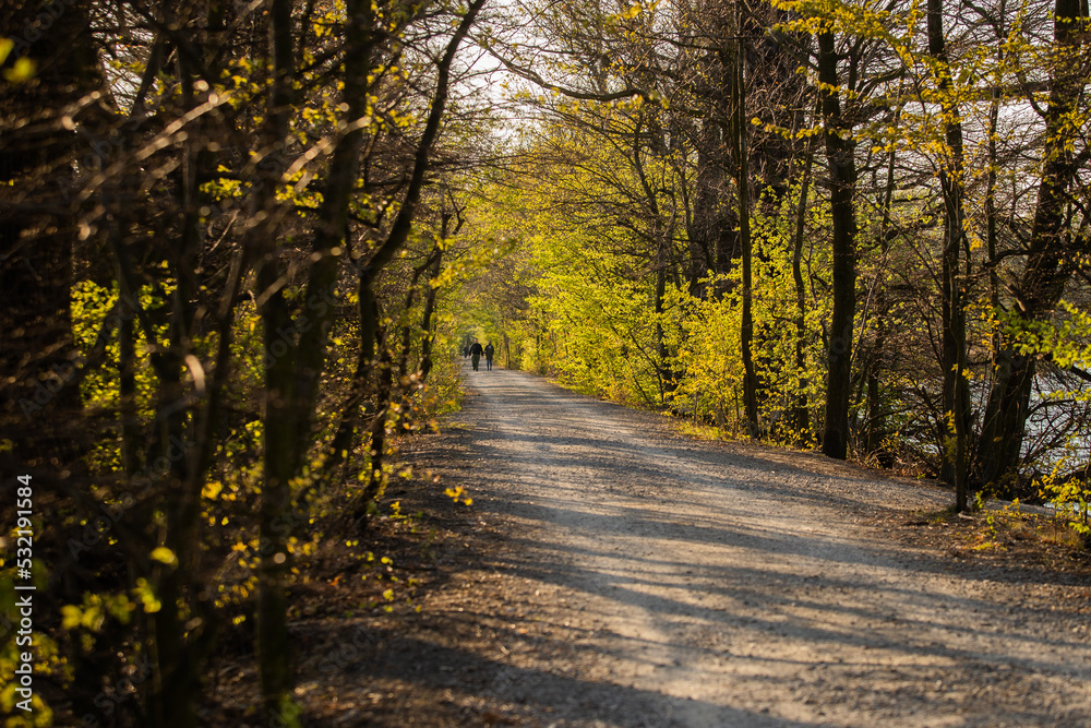 Fototapeta premium Autumn in the Łężczok bird sanctuary in Poland
