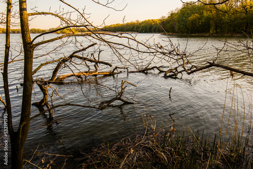 Autumn in the       czok bird sanctuary in Poland