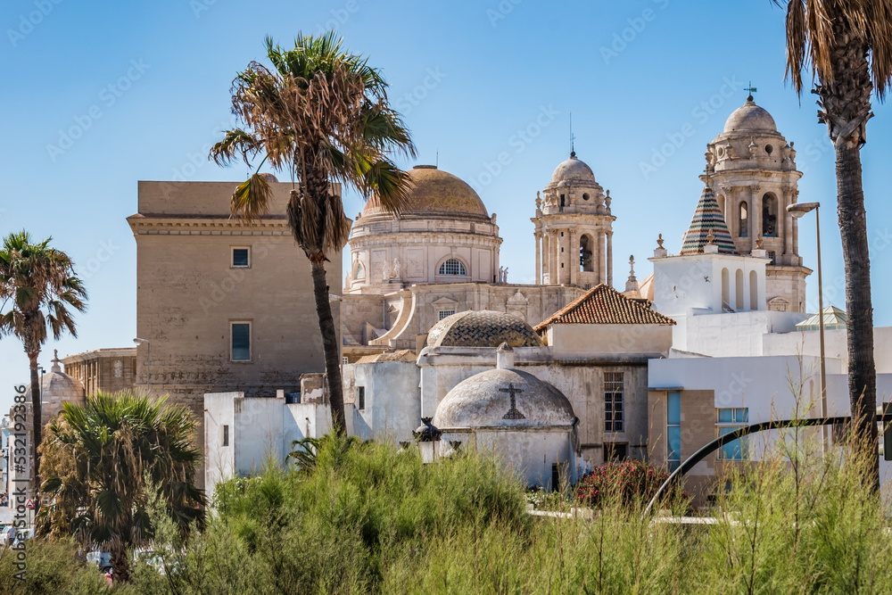 Shrubs and palm trees next to the Santa Cruz Cathedral with several towers and dome in baroque and neoclassical style, Cadiz SPAIN