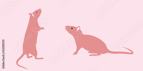 Mouse as Small Rodent  Coat in Different Poses Vector Set.Mouse isolated on background.