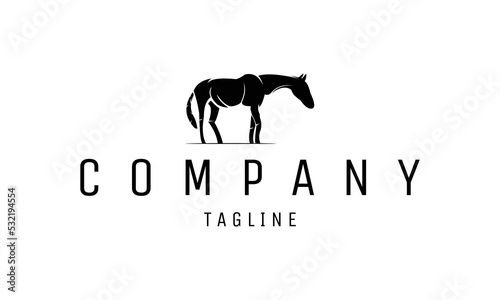 Silhouette Horse Logo Design. Horse Logo Template. Modern Design. Flat Logo. Vector Illustration