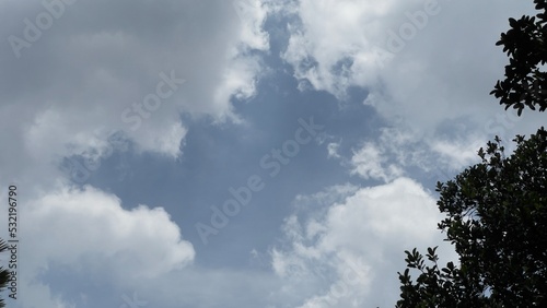 Beautiful clouds and sky with part of trees © MZUCHRIAL