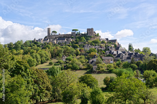 Château de Turenne
