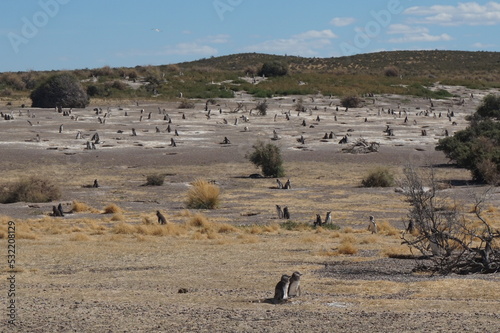 Puerto Madryn