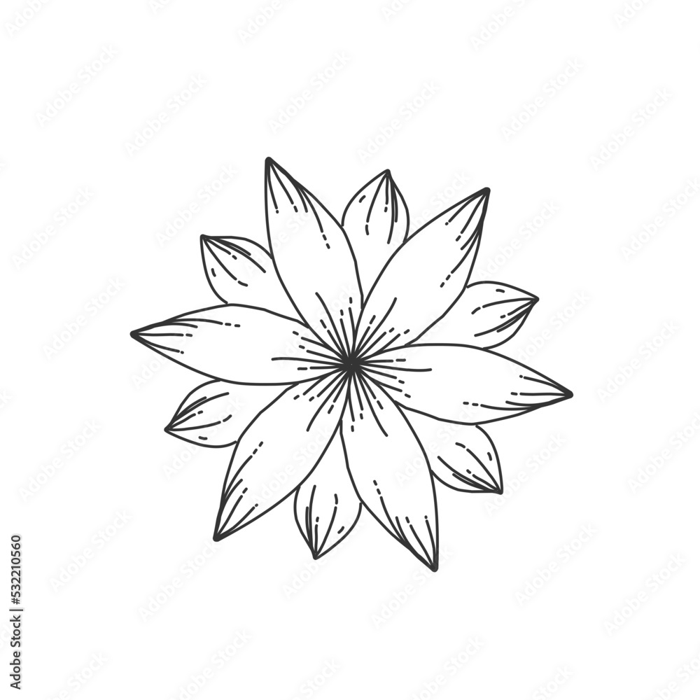 Line art flower illustration vector 
