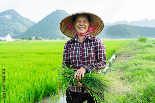 Farmer woman in the rice field photo