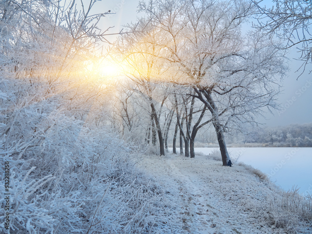 Obraz premium Beautiful winter park with sunset colors sky