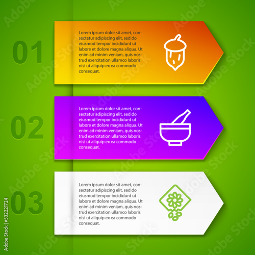 Set line Acorn, oak nut, seed, Mortar and pestle and Pack full of seeds of plant. Business infographic template. Vector